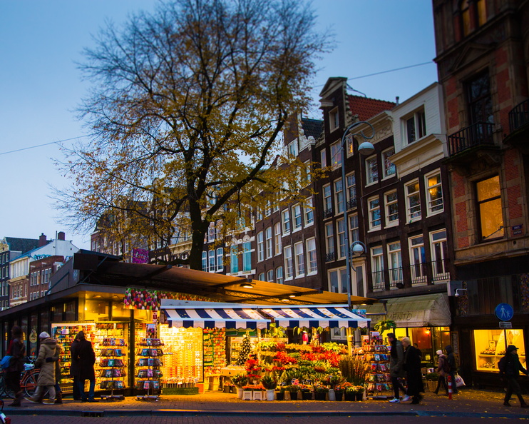 2012 11-Amsterdam Flower Market.jpg